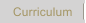 Curriculum